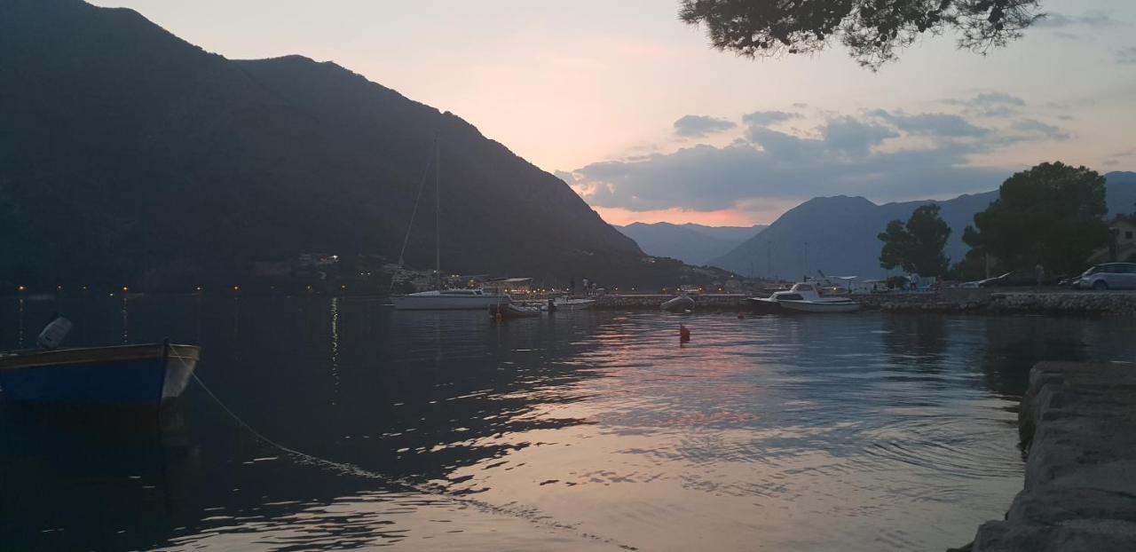 Garden Apartmant Near Sea Kotor Eksteriør billede